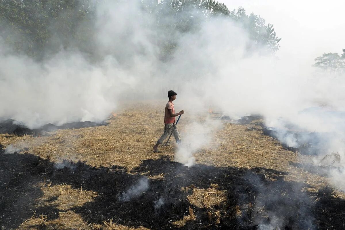 Копи смог. Killing Air pollution. Смог ленд. Agricultural pollution. Загрязнение атмосферы Италии.