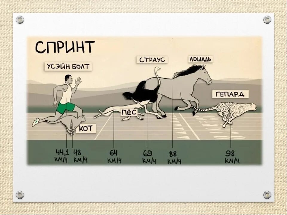 Средняя скорость человека. Средняя скорость бега человека. Скорость человека при беге. Максимальная скорость бега.