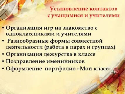 Организация учителя