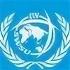 Модель ООН. ООН 21 век. Макет ООН. Детская модель ООН.