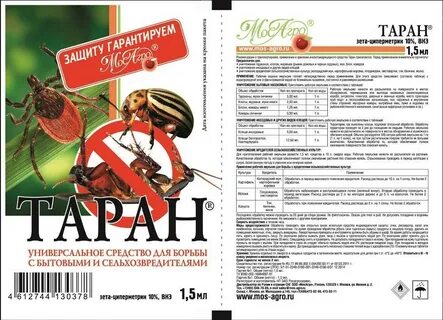 Тарана дня дня