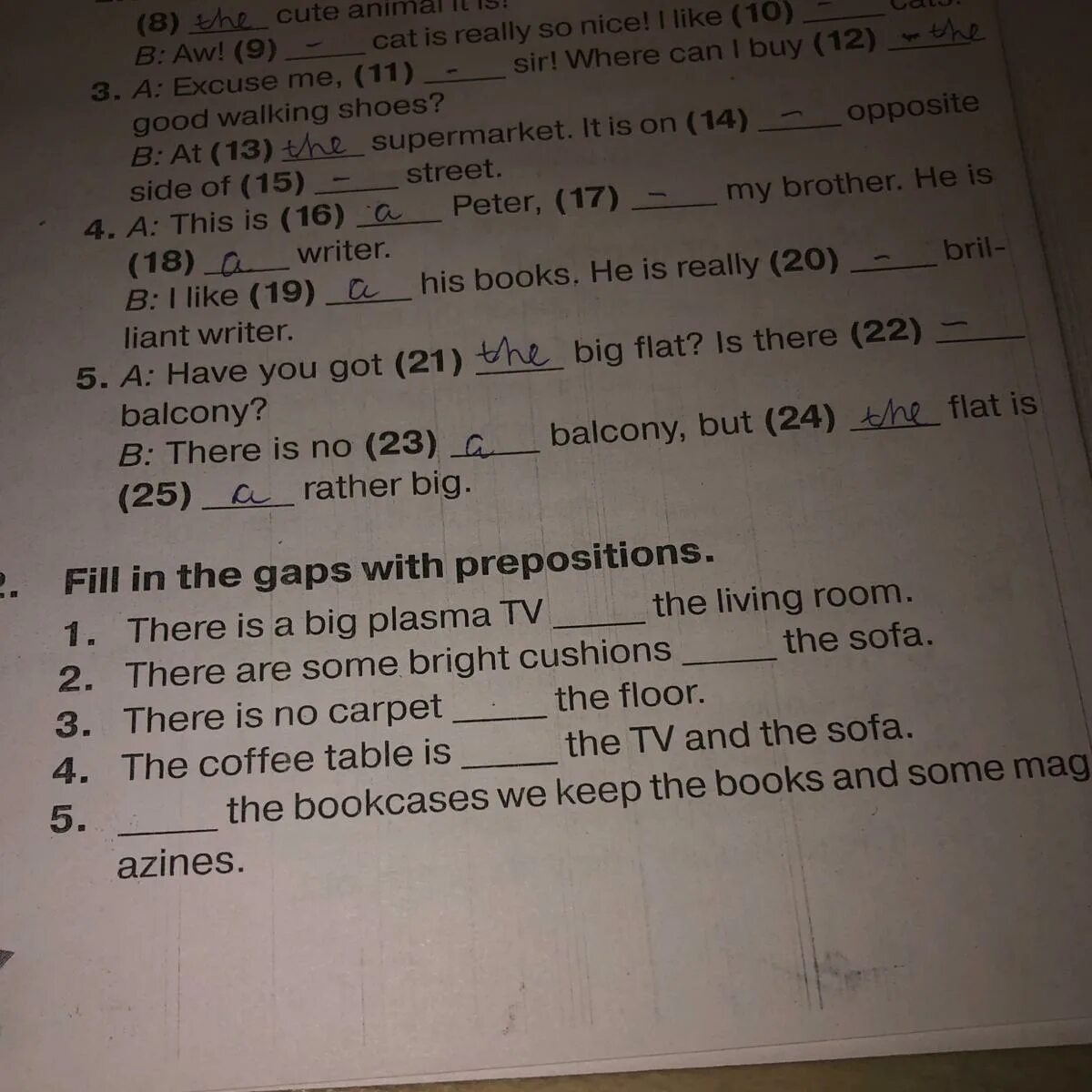 Английский язык fill in the gaps with. Fill in the gaps with prepositions. Fill in the gaps. Fill in the gaps with a an the there is. Fill in the gaps гдз по английскому.