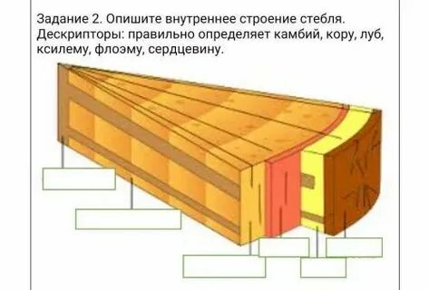 Опишите внутреннее