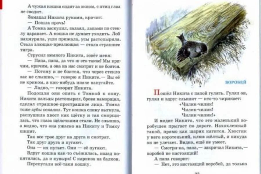 Книга Чарушин рассказы про зверей и птиц. Е Чарушин рассказы про зверей и птиц. Школьная библиотека рассказы про зверей и птиц. Читать рассказ воробьи