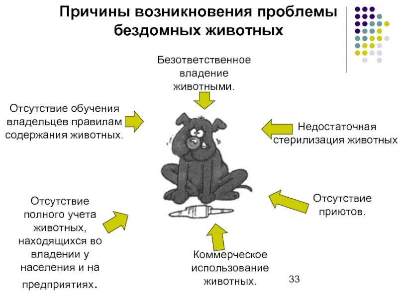 Причины появления бездомных. Причины появления бездомных животных статистика. Причины возникновения бездомных животных. Причины бездомных животных. Причины возникновения проблемы бездомных животных.