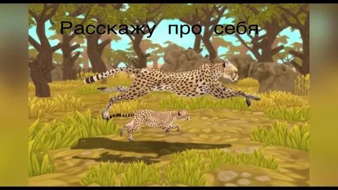 Фон вилд