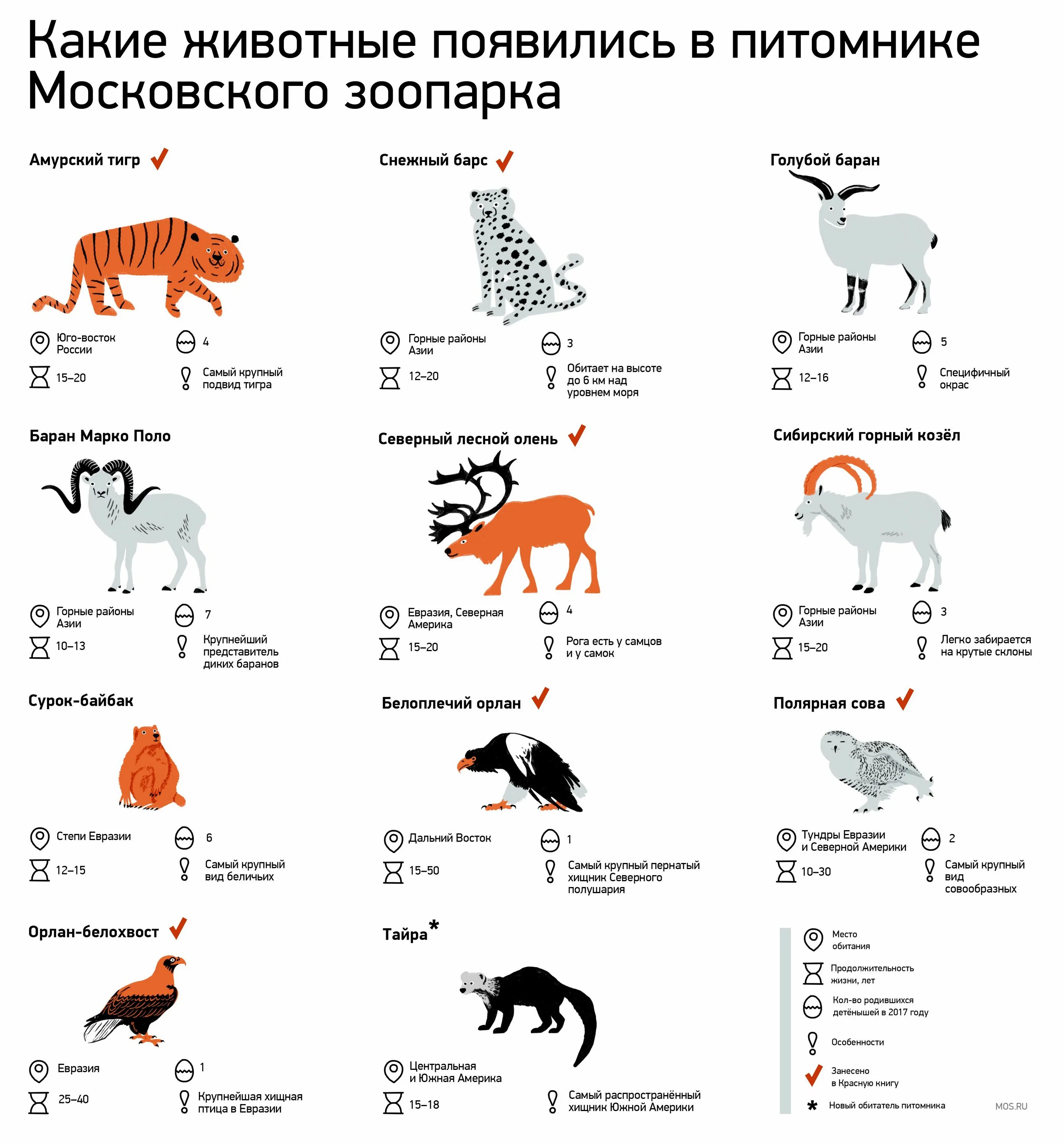 Перечень животных в Московском зоопарке. Московский зоопарк животные. Московский зоопарк животных список. Звери из зоопарка. Какие звери находятся