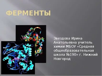 Ферменты биологические катализаторы 10 класс пасечник