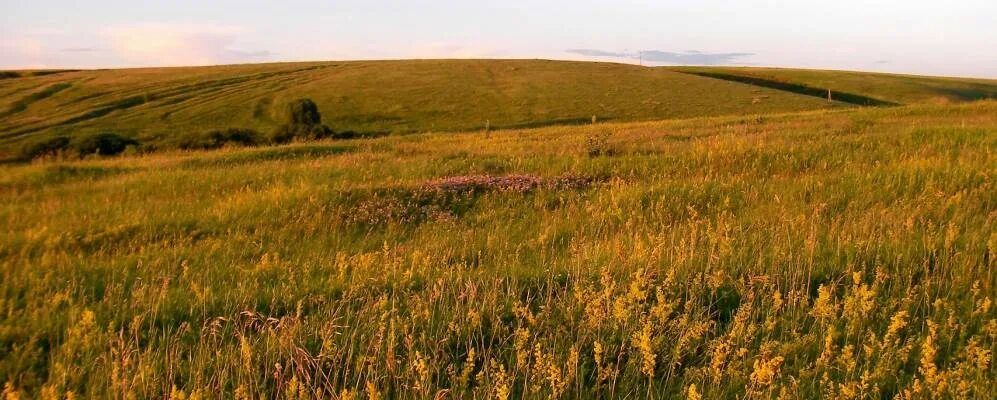 Село Дмитриевка Новоузенского района. Фотографии поселок Дмитриевка Новоузенского района. Культюк. Картинки с.Дмитриевка природа родного края Новоузенский район. Село дмитриевка новоузенский район саратовская область