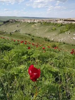Красная балка