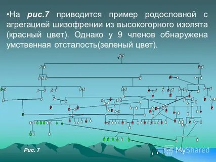 Привелось