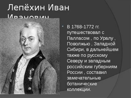Лепехин ютуб