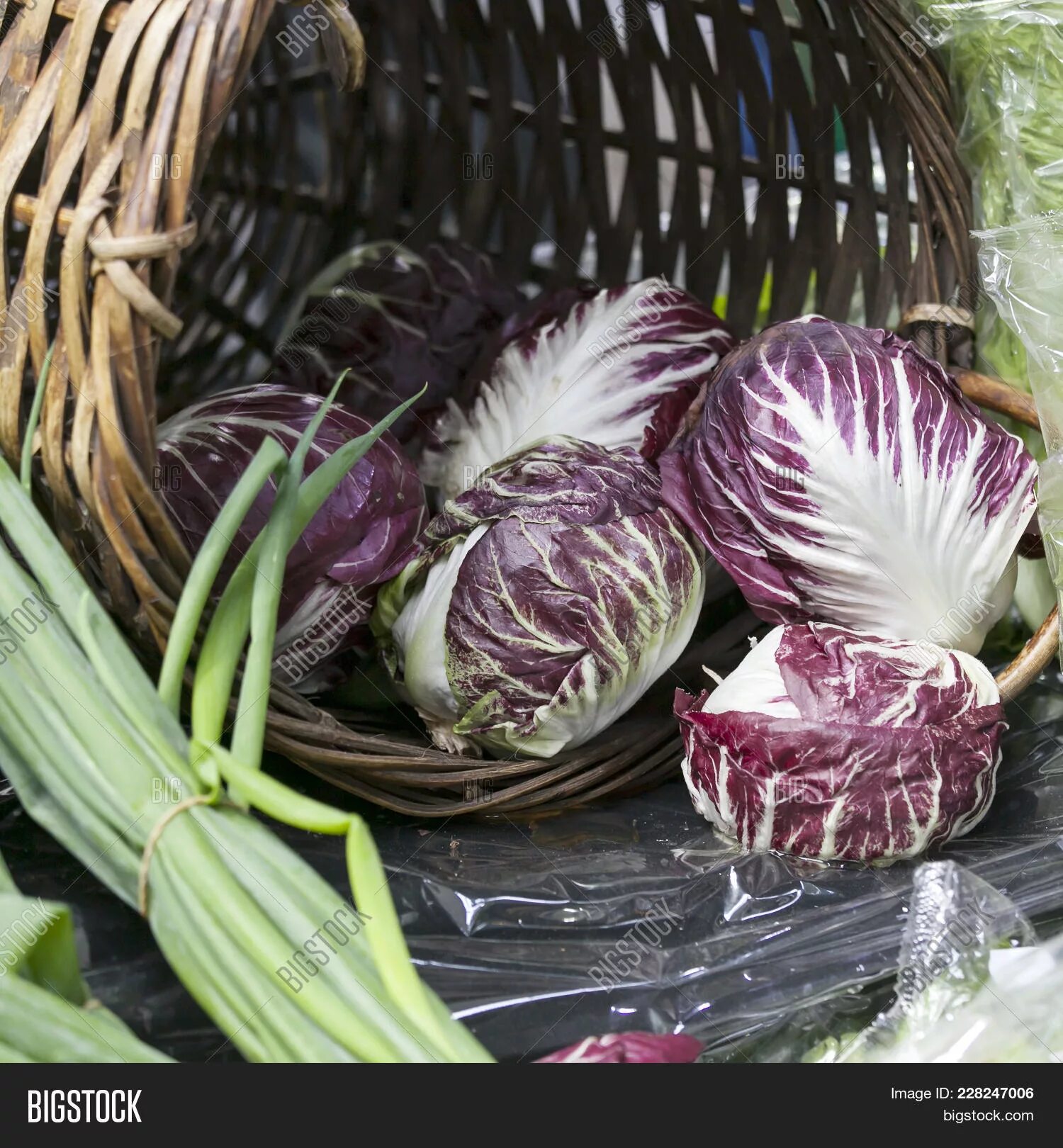 Радичио салат фото как выглядит. изображения и Bigstock.