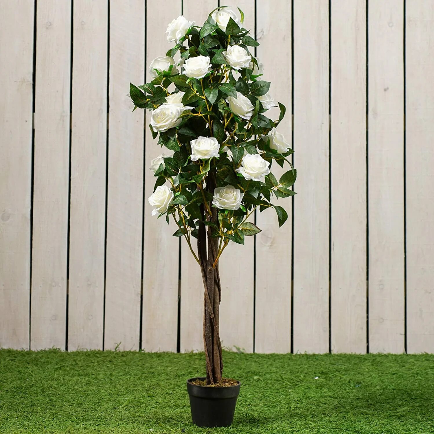 цветы розы дерево