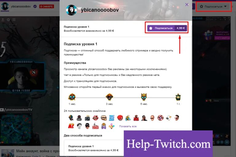 Как подписаться на твиче. Как подписаться на твиче с телефона. Как подписаться на канал в твиче. Уровни подписки на твиче.