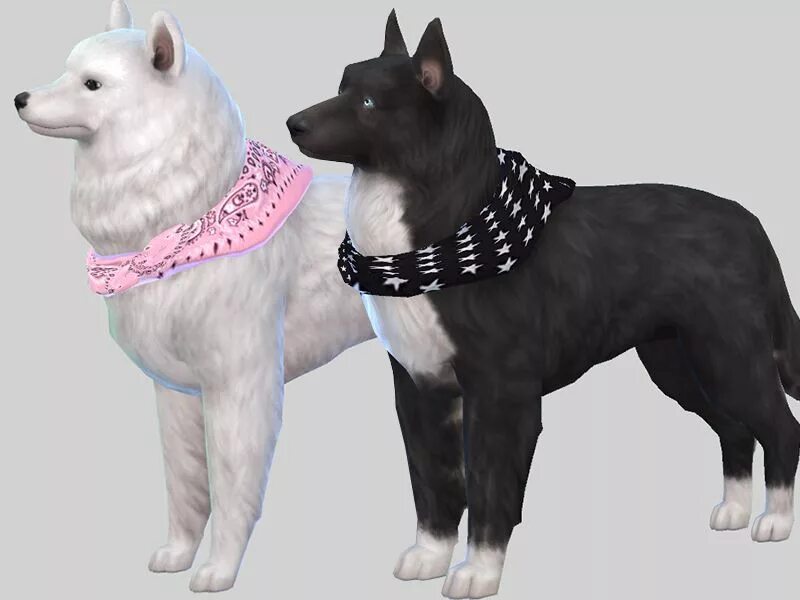 Sims 4 dog. The sims 4 собаки. the sims 4 питомцы. симс 4 дог. симс 4 питомцы собаки.