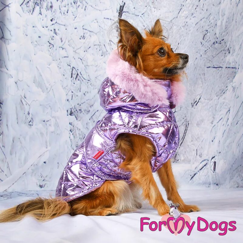 My dogs 3. Попона formydogs. попона фиолетовая металлик (16) fw669-2019. попона for my dogs. formydogs сиреневый металлик.