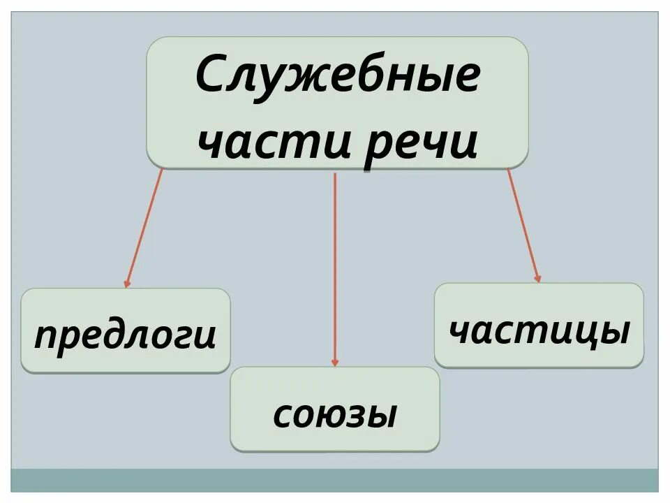 Схема служебные части речи 7 класс. Служебные части речи в русском языке 7 класс. Служебные части речи в русском языке 6 класс. Служебные части речи предлоги Союзы частицы.