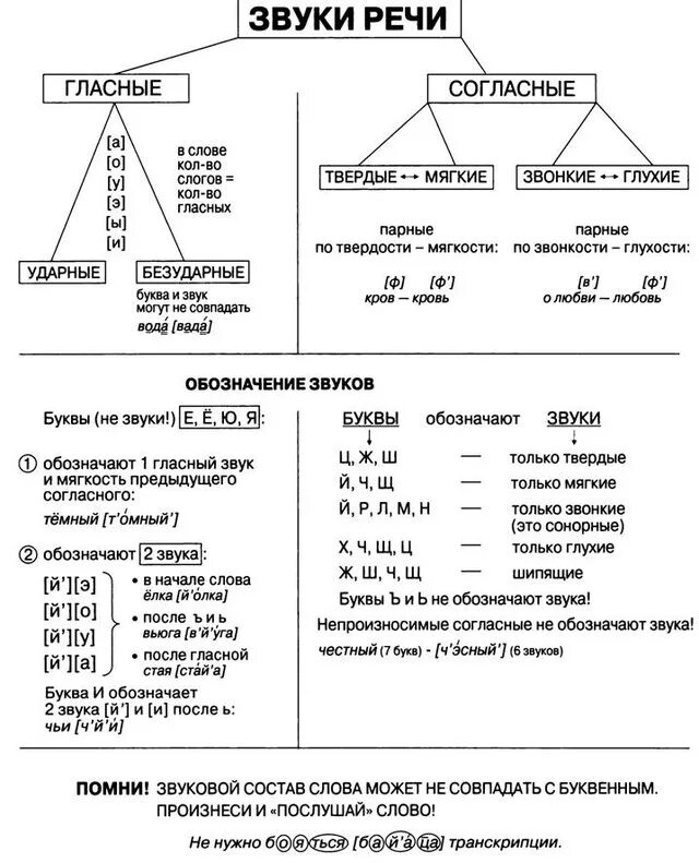 Обозначения букв глухих. Фонетика гласных звуков в русском языке. Фонетика таблица звуков русского языка. Фонетика русского языка в таблицах. Фонетика таблица звуков русского языка для начальной школы.