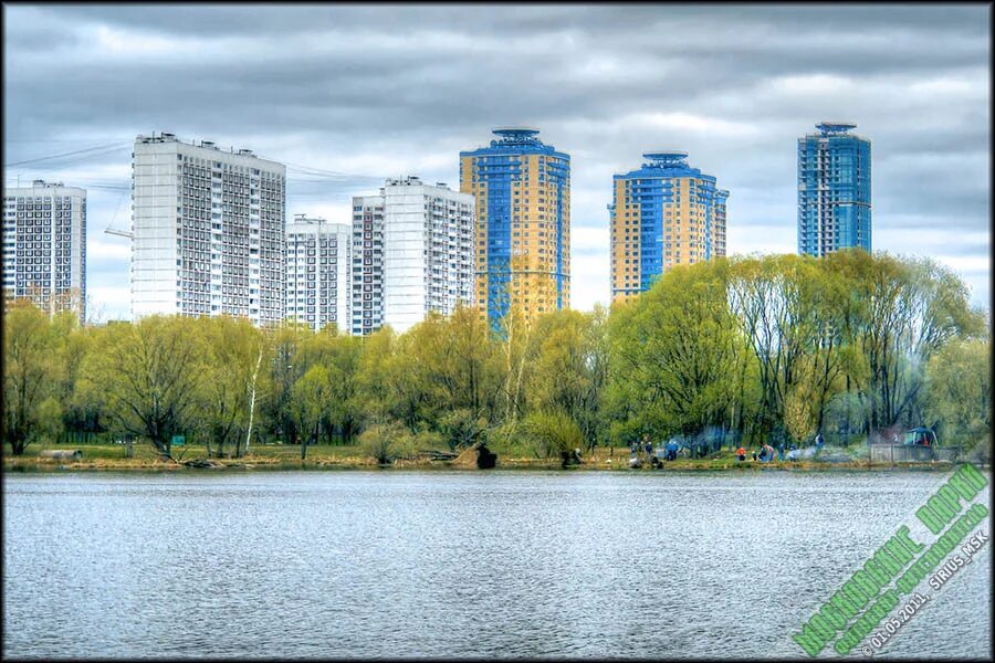 Цветы строгино. Цветы строгино