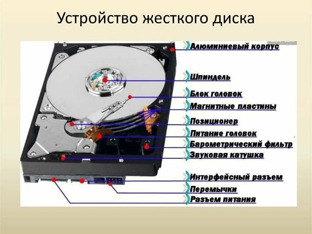 Жесткий диск пищит и не определяется. Из чего состоит жесткий диск hdd. назовите основные устройства жесткого диска ssd.. из чего состоит винчестер hdd. основные устройства жесткого диска hdd, ssd..