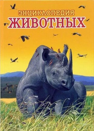 Читать книгу носорог. Книга с носорогом. носорог энциклопедия. детские книги о носорогах. носороги из энциклопедии.