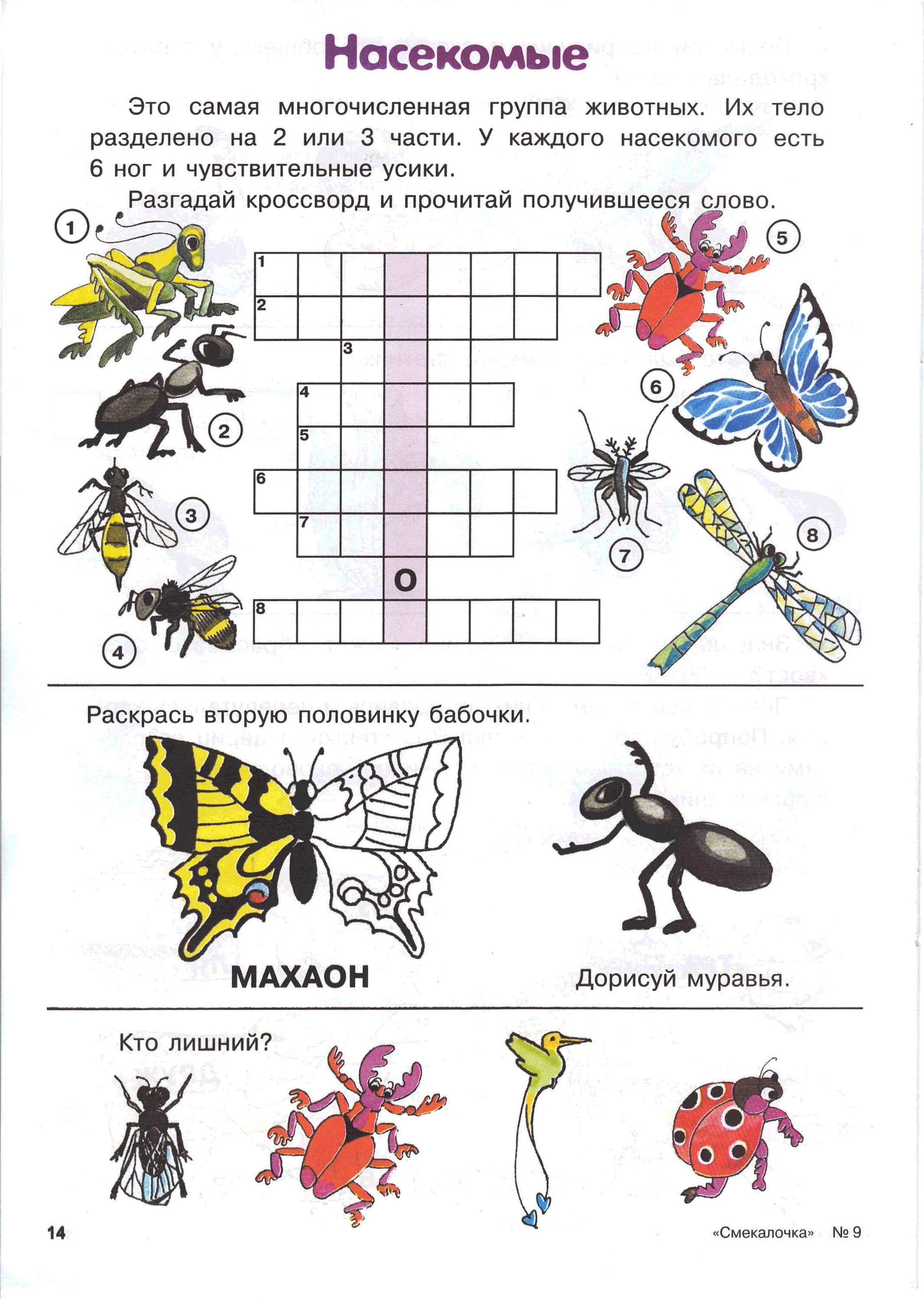 Насекомые задания для дошкольников. Задания на тему насекомые в подготовительной группе. Насекомые задания для детей 6-7 лет. Задания длядля дошкольников насекомые.