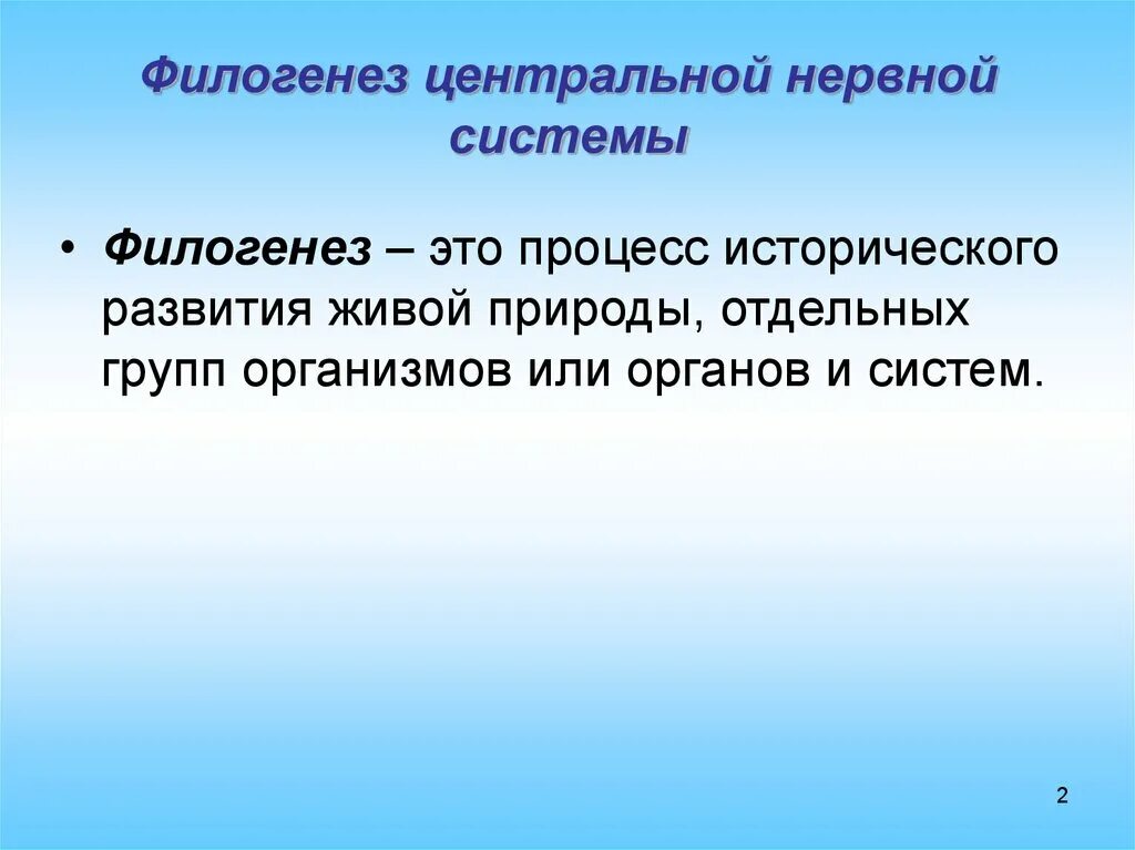 Филогенез центральной нервной системы. Филогенез и онтогенез нервной системы. Филогенез нервной системы человека этапы развития. Этапы развития нервной системы в процессе филогенеза..