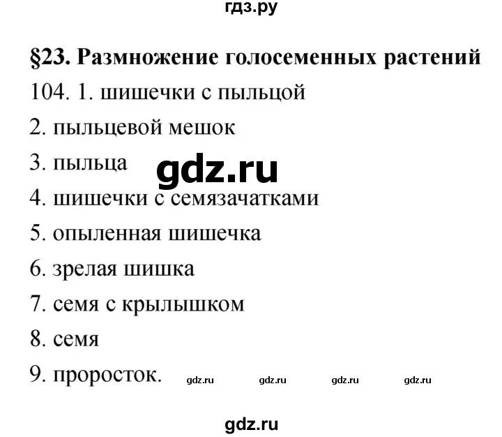 Стр 104 номер 217. Номер 104 6 класс.