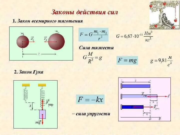 Сила трения сила гравитационной природы хаотическое тепловое. Закон Гука и сила тяжести. Сила упругости 7 класс физика формула. Сила тяжести закон Всемирного тяготения формула. Формула силы Всемирного тяготения в физике 7 класс.