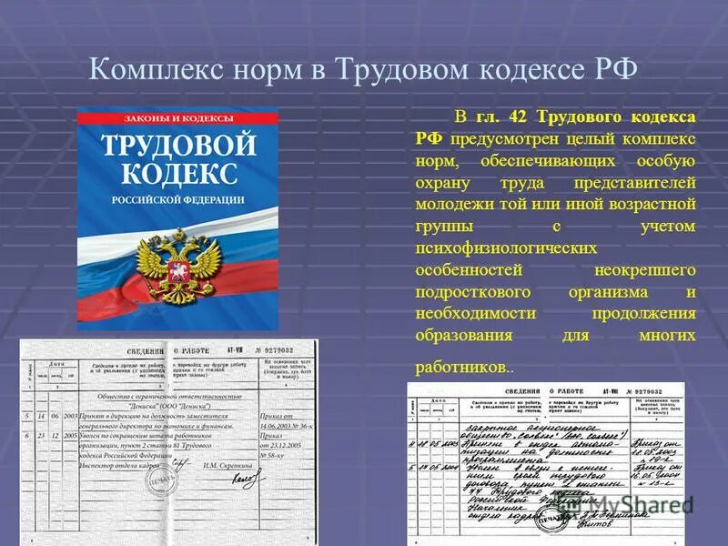 Запрещающие нормы рф. Нормы трудового кодекса. ТК РФ запрещающие нормы. Основные нормы трудового кодекса.