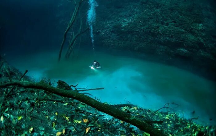 Underwater River, Cenote Angelita, Mexico Underwater river, Underwater lake, Bre