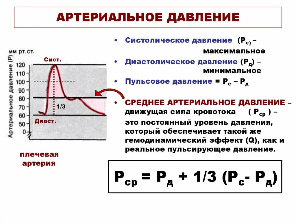 Максимальное диастолическое давление. Систола и диастола давление. Давление крови систолическое и диастолическое. Основные показатели гемодинамики. Давление крови систолическое и диастолическое среднее.