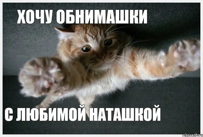 Высказывания про наташку. Любимая наташа. Футболки с именем наташа. Бокал за тех кто работает в воскресенье. Ромашки для наташки.