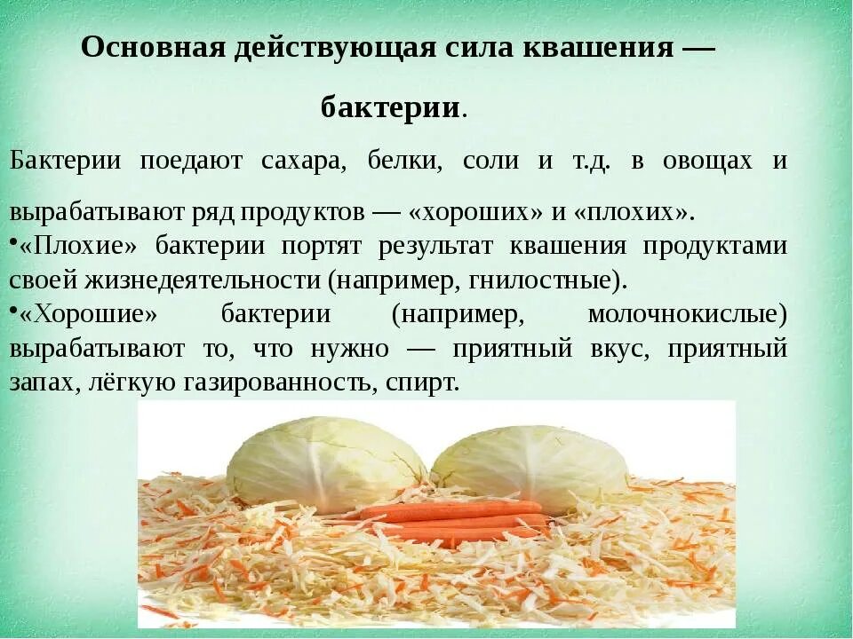 Можно есть квашеную капусту каждый день