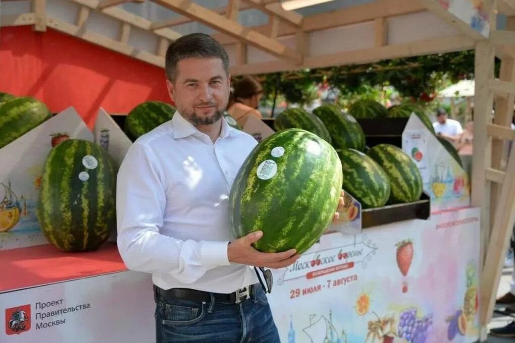 Арбуз астрахань последние. Арбуз Астраханский. Сорта арбузов. День арбуза фото. Арбуз на бахче.