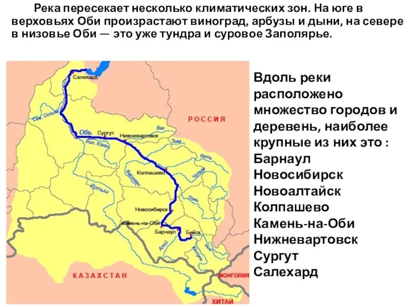 Река обь план. Верхнее течение Оби. Верховье и низовье реки. Верховье реки Обь. Течение реки Оби на карте.