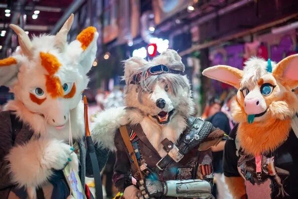 Any furry fest. Ани фурри фест. Furry костюм. Фурри фестиваль. Фурри фест.