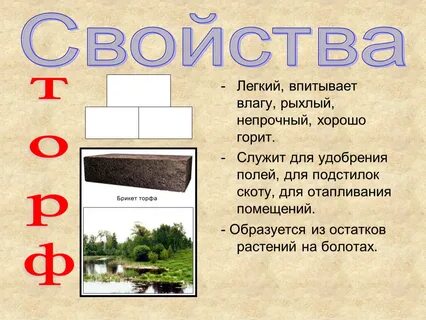 К какому виду относится торф