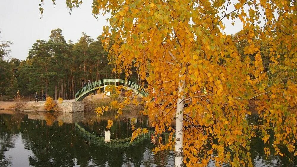 Гагаринский парк самара. Парк гагарина осенью самара. Парк гагарина осенью самара. Парк гагарина осенью. Парк гагарина осенью.