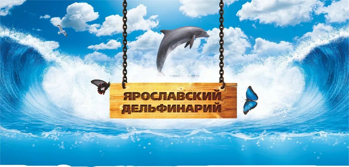 Дельфинарий ярославль купить. Дельфинарий Dolphin Planet в Ярославле. Дельфинарий Ярославль здание. Ярославский дельфинарий фото. Дельфинарий Ярославль Дубки.