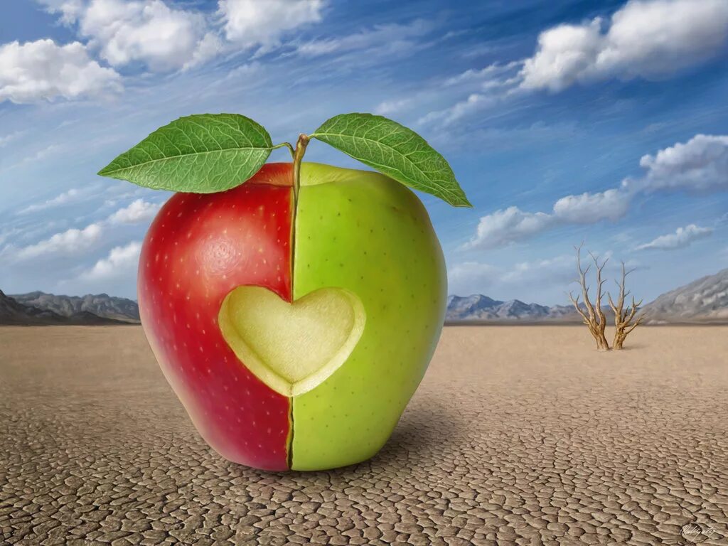 Яблоня любовь. Яблоко. Две половинки яблока. Половинка яблока. Две половины яблока.