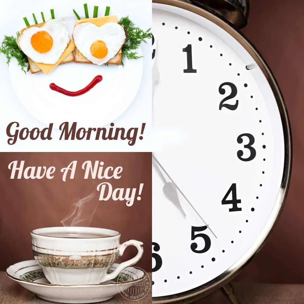Добрый утро 5 раз. Открытки good morning. good morning (доброе утро!). good morning have a nice day. good day открытки.