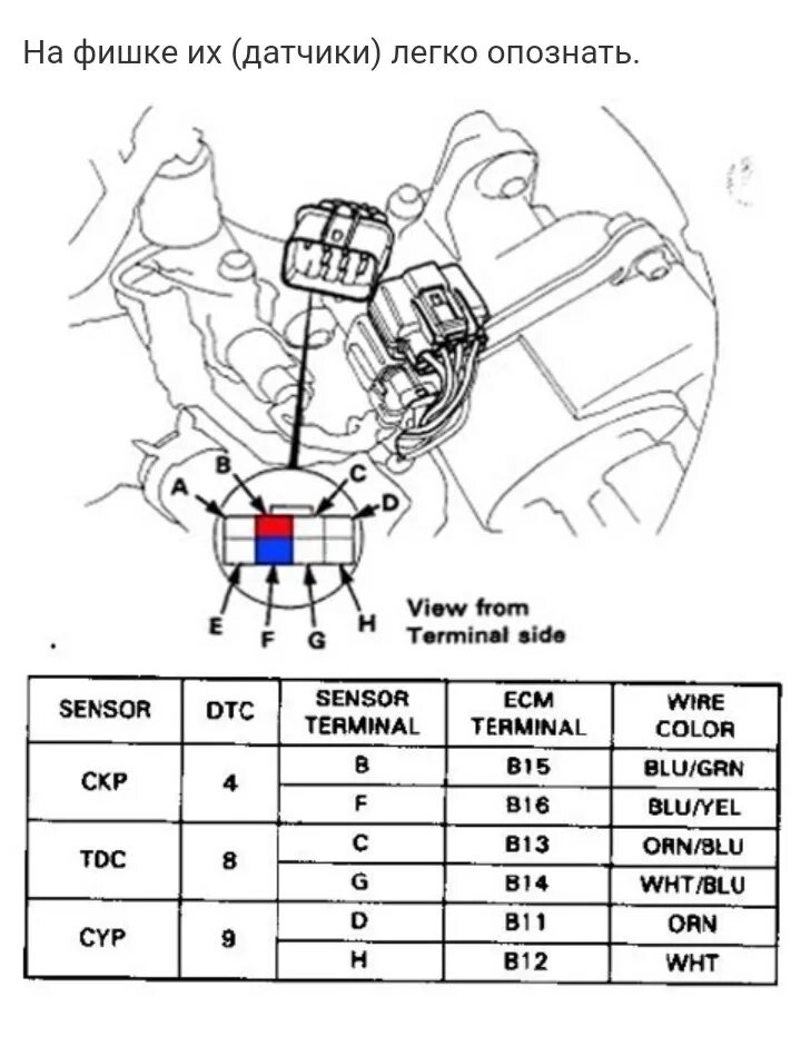 Honda cr зажигание. Хонда Одиссей 2000 зажигания трамблер провод. Датчик распределителя Хонда HR V. Трамблер d15b схема. Распиновка трамблера Хонда.
