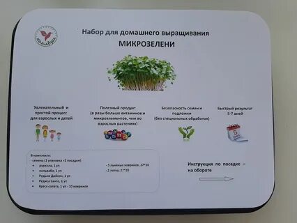 Температура для микрозелени