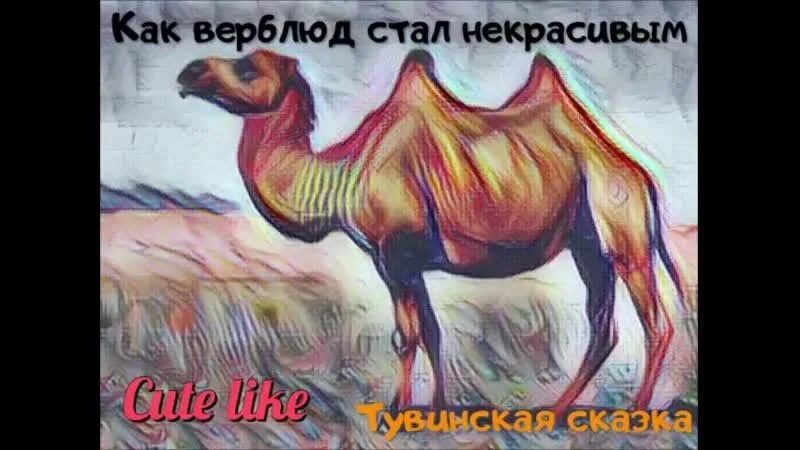 Индия сказка верблюд и шакал. Как верблюд стал некрасивым тувинская сказка. верблюд и лошадь. как верблюд стал некрасивым. тувинские народные сказки.