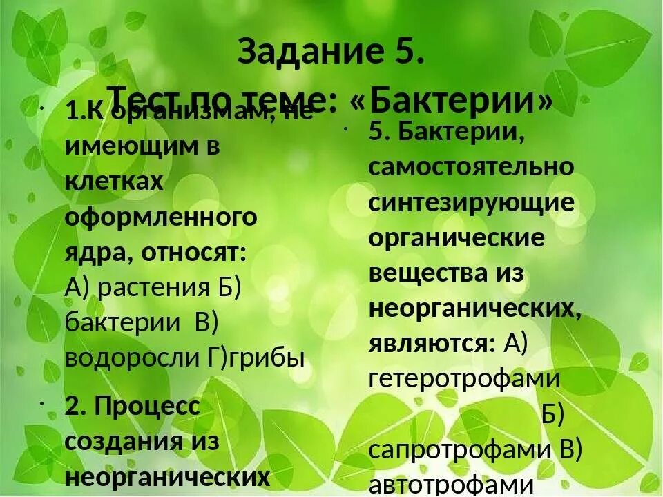 Микроорганизмы их строение и значение для человека. Микроорганизмы их строение и значение для человека видеоурок. микроорганизмы их строение и значение для человека 8 класс технология.