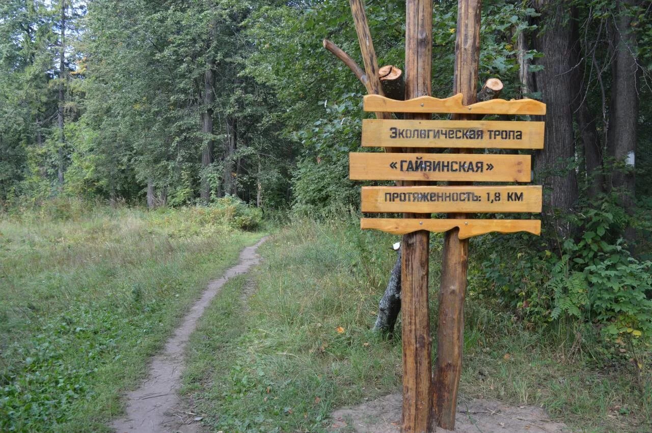 Тропы пермь. Тропа серебряный меридиан пермь. Экотропа пермь гайва. Экологическая тропа гайвинская. Тропы пермь.