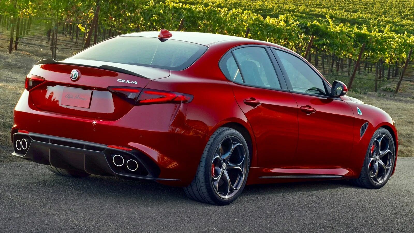 Альфа без ромео. Alfa Romeo Julia. Alfa Romeo Giulia Квадрифолио.