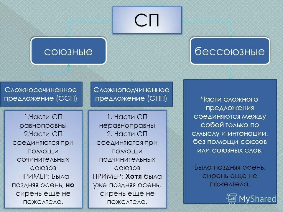 Сп n 5. Союзные и Бессоюзные предложения. Союзые и несоююзные предложения. Сложно союзные и Бессоюзные предложения. Сложные предложения Союзный и без Союзный.